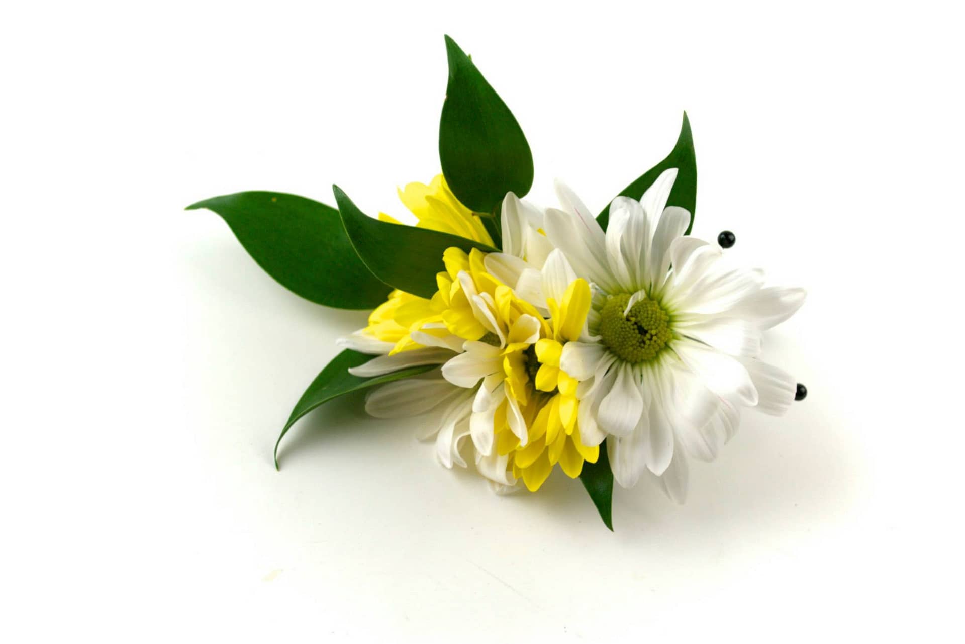 minneapolis-florist-wedding-daisies