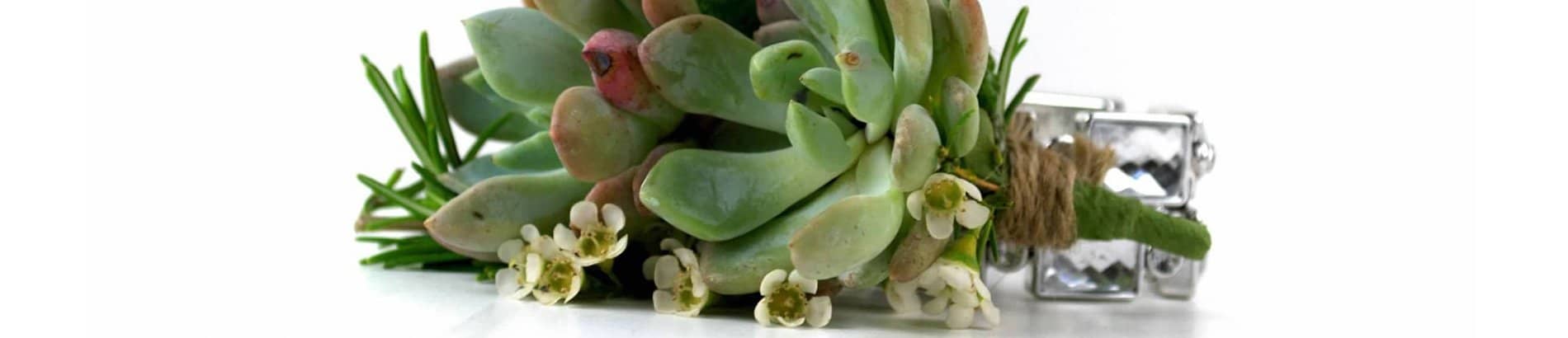 boutonnieres corsages wedding with succulents header 1