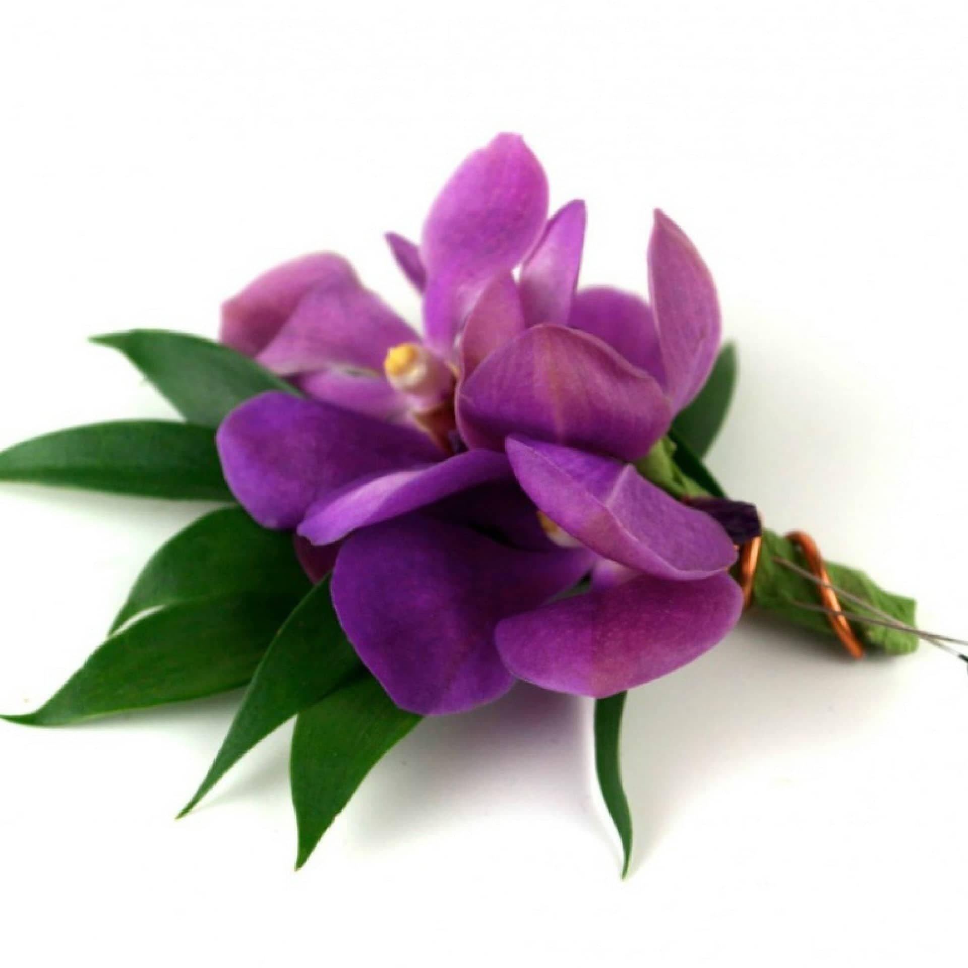 purple-orchidwedding-boutonniere-minneapolis-st-paul