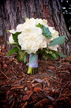 spring-wedding-bouquet-minneapolis-mn