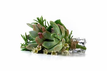 boutonnieres-corsages-wedding-with-succulents