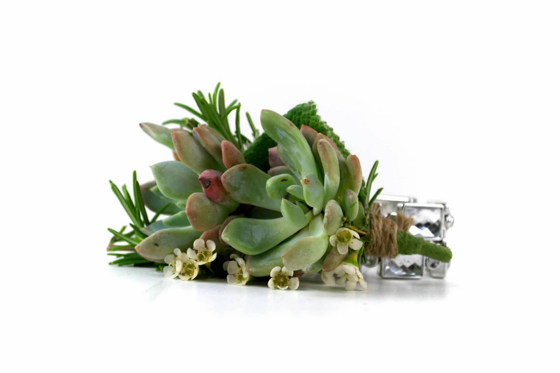 boutonnieres-corsages-wedding-with-succulents