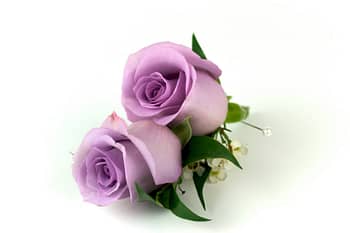 wedding-boutonnieres-corsages-minneapolis-purple-rose