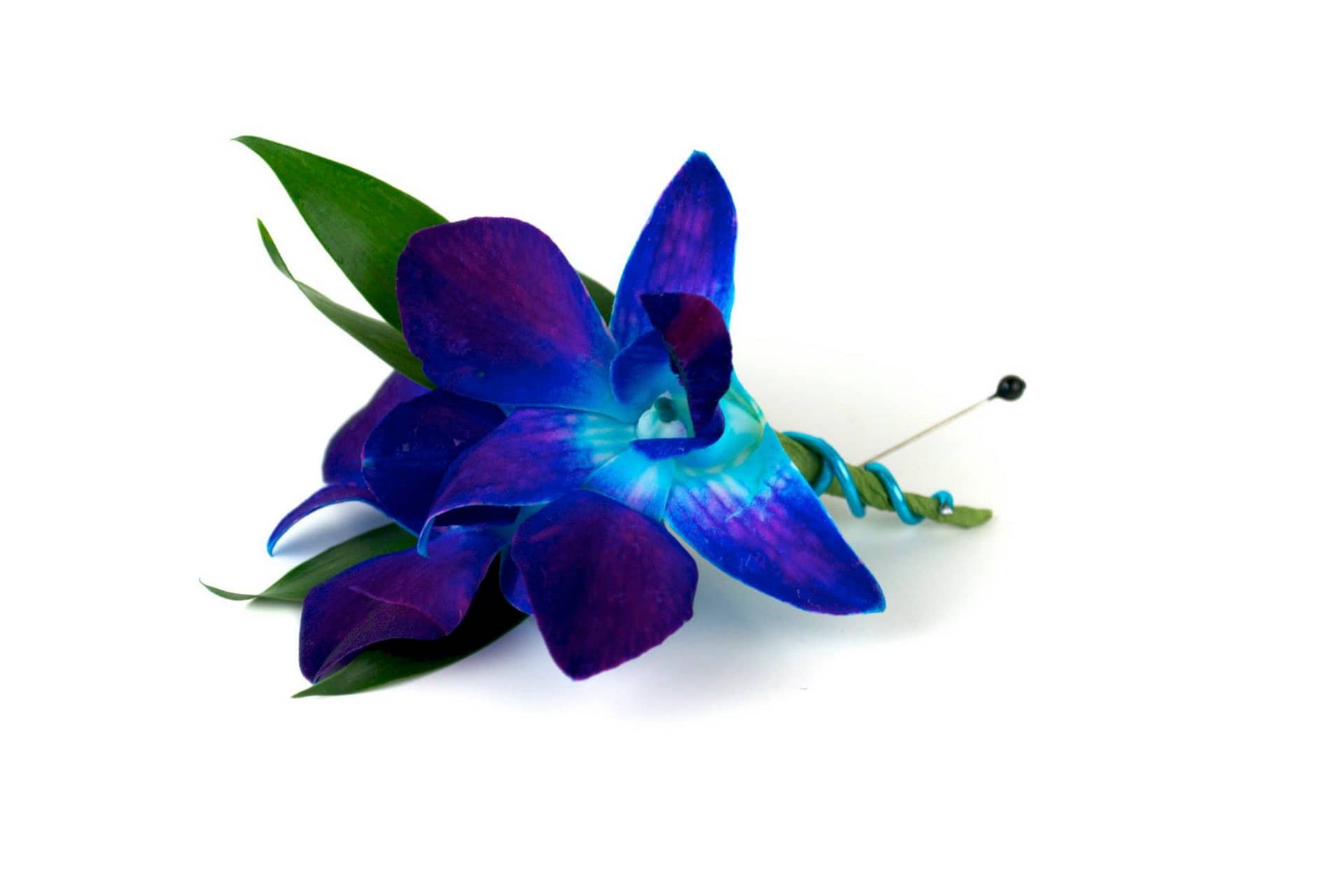 minneapolis-florist-wedding-blue-orchid