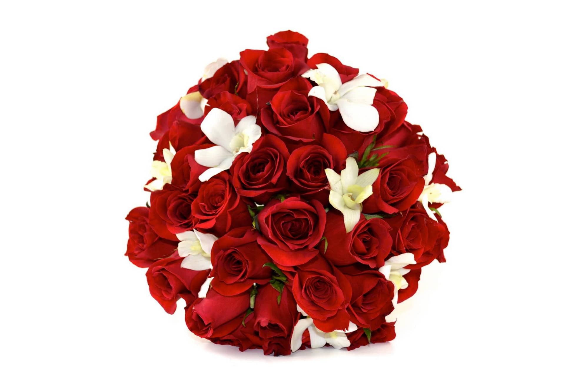red-white-wedding-flowers-minneapolis-minnesota