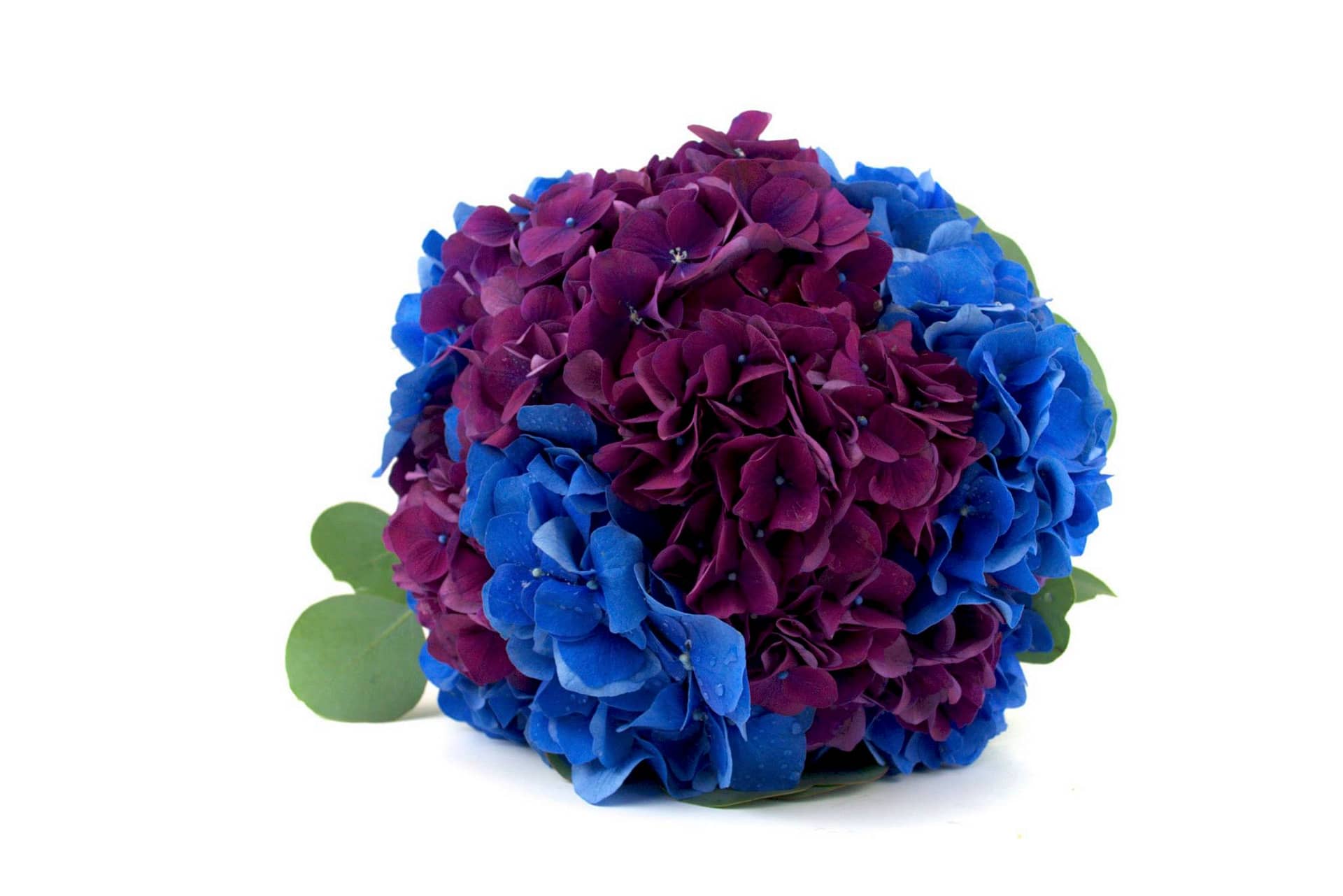 hydrangea-wedding-bouquet-minneapolis-mn