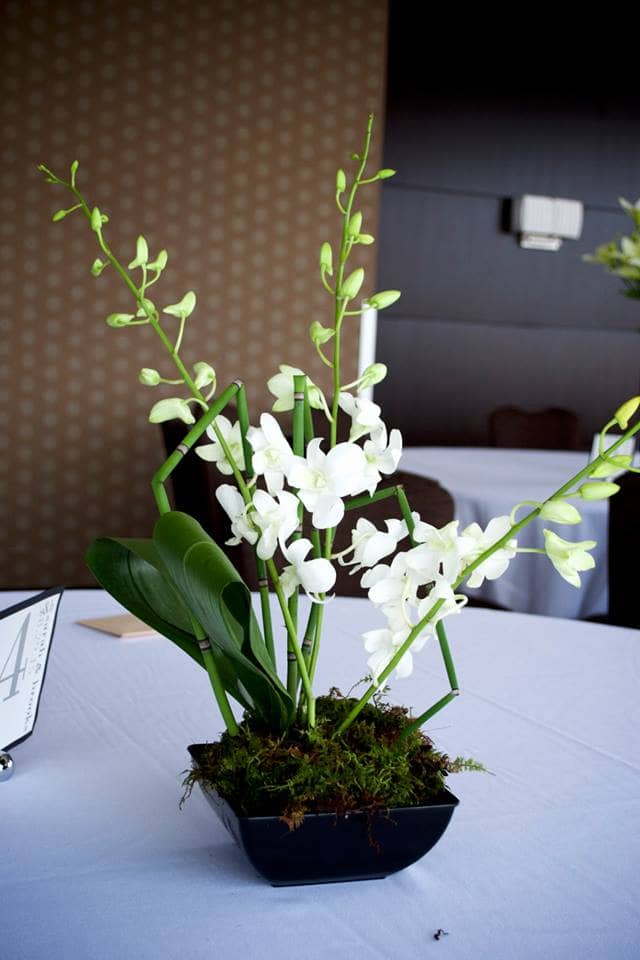 wedding centerpiece florist minnesota white orchid